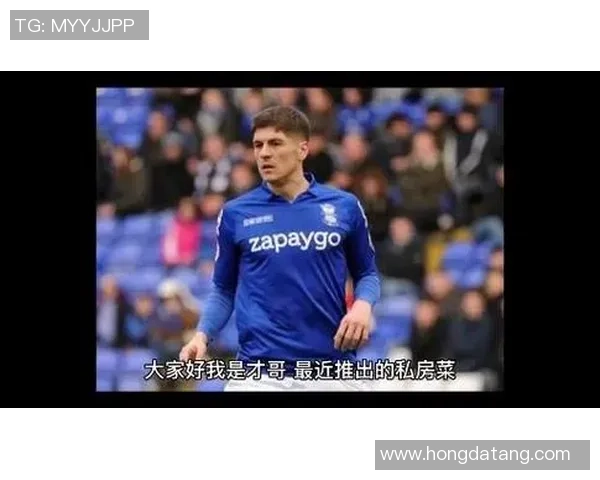 维拉与谢菲联对决分析及竞彩推荐预测胜负结果